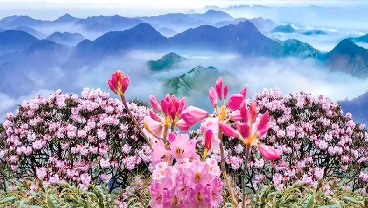 1730188171545667Zcaq.png 配图4.png