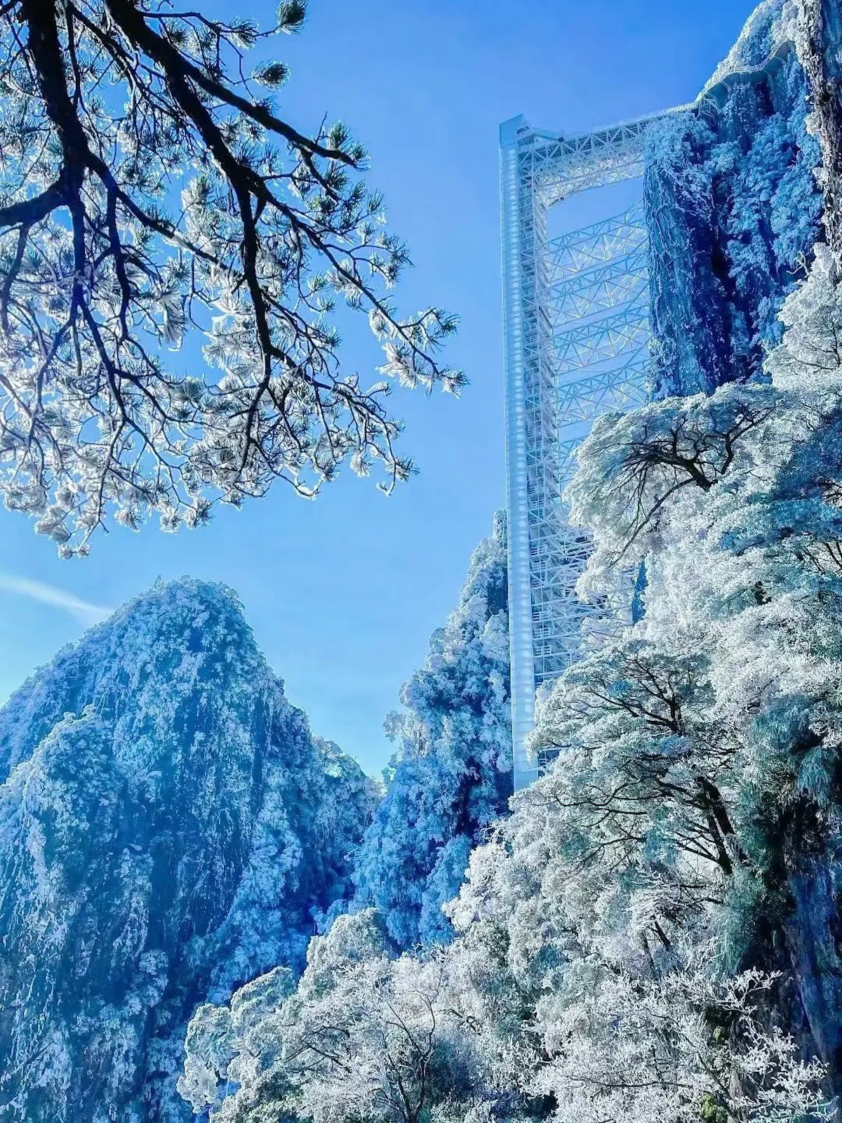 17301882672411243p0J.jpeg 配图6.jpeg
