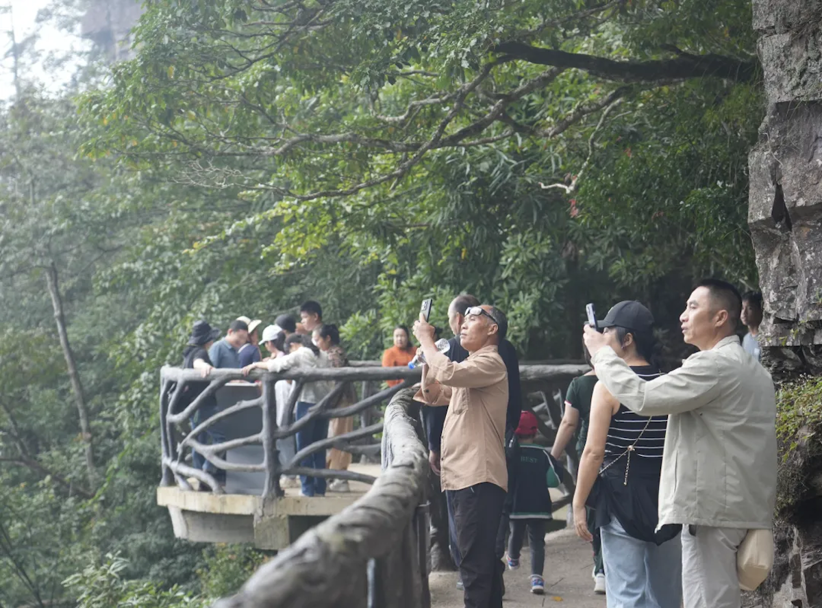 1730265067517428tj5T.png 配图8.png