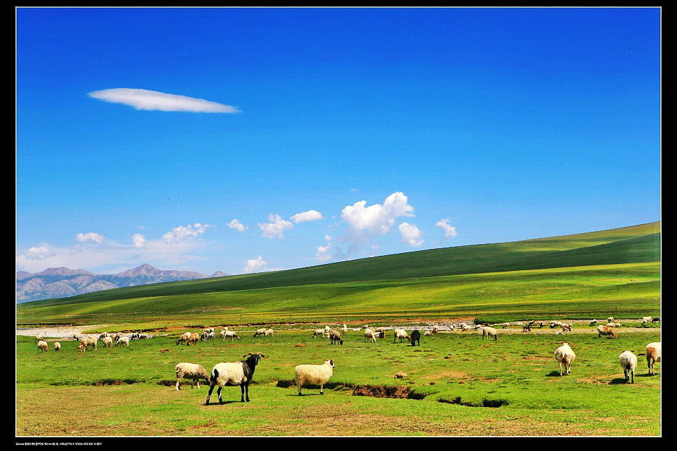 20211115094570977097