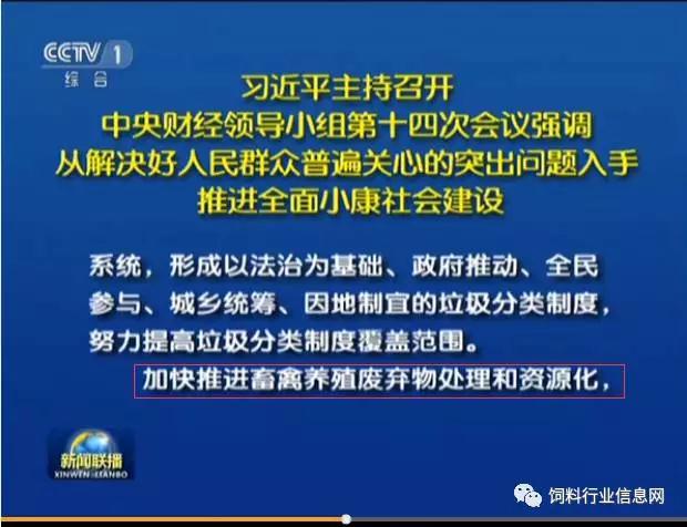 �ʶ�����(�й���) - �ٷ���վ