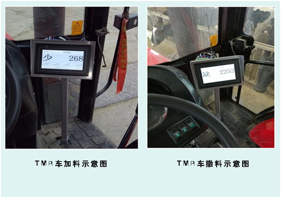 �ʶ�����(�й���) - �ٷ���վ