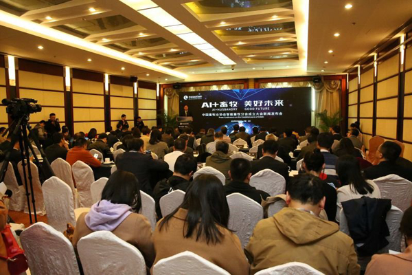 �ʶ�����(�й���) - �ٷ���վ