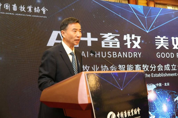 �ʶ�����(�й���) - �ٷ���վ