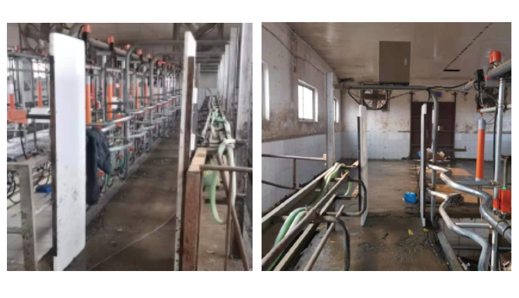 �ʶ�����(�й���) - �ٷ���վ