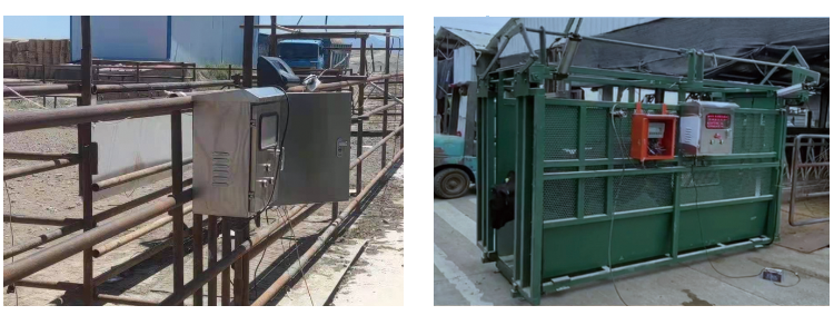 �ʶ�����(�й���) - �ٷ���վ