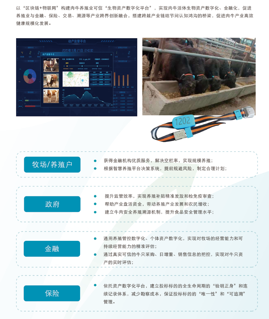 �ʶ�����(�й���) - �ٷ���վ