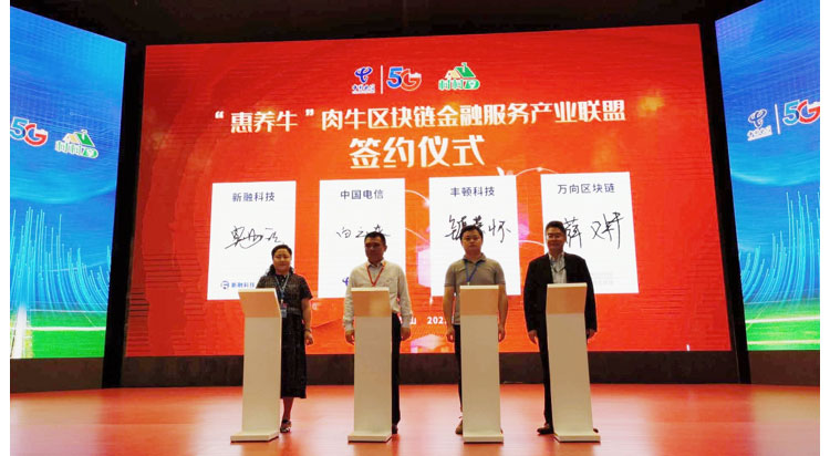 �ʶ�����(�й���) - �ٷ���վ