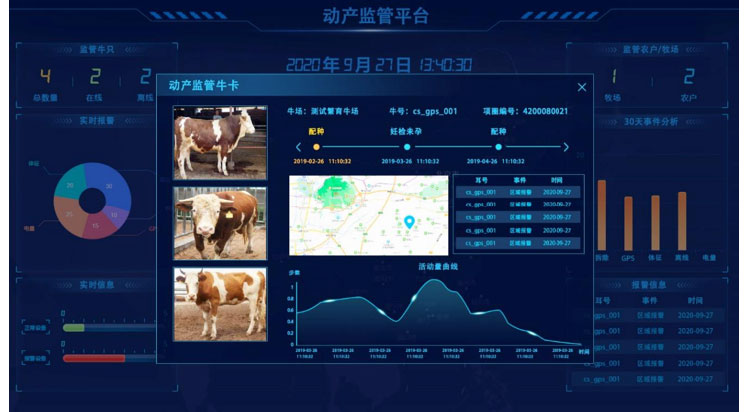 �ʶ�����(�й���) - �ٷ���վ