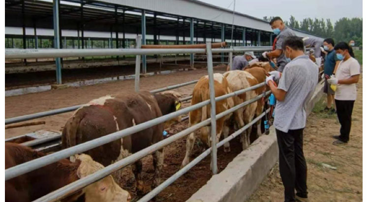 �ʶ�����(�й���) - �ٷ���վ