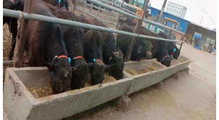 �ʶ�����(�й���) - �ٷ���վ