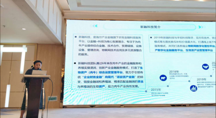 �ʶ�����(�й���) - �ٷ���վ