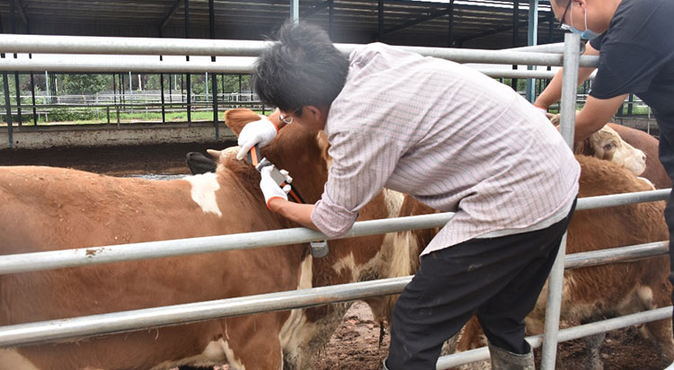 �ʶ�����(�й���) - �ٷ���վ