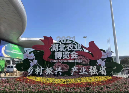 �ʶ�����(�й���) - �ٷ���վ