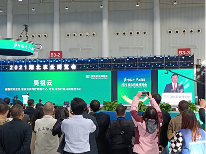 �ʶ�����(�й���) - �ٷ���վ