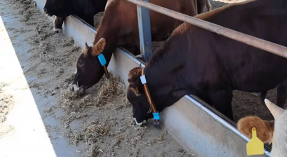 �ʶ�����(�й���) - �ٷ���վ