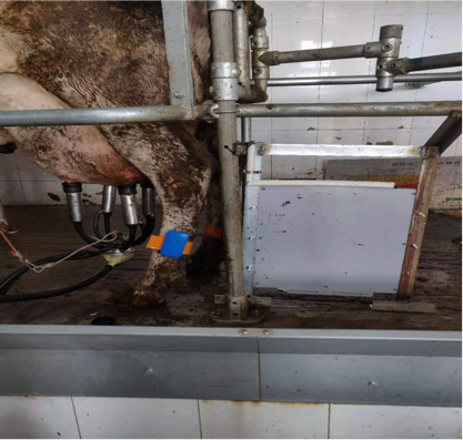 �ʶ�����(�й���) - �ٷ���վ