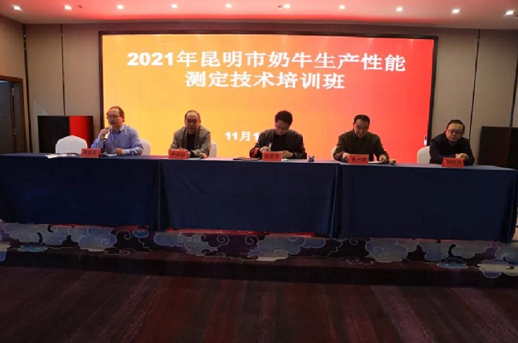 �ʶ�����(�й���) - �ٷ���վ