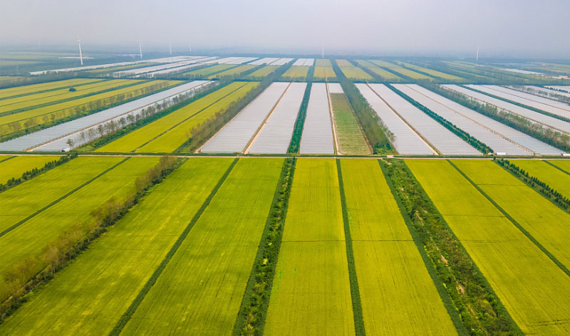 �ʶ�����(�й���) - �ٷ���վ