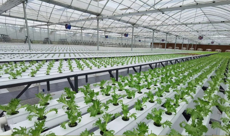 �ʶ�����(�й���) - �ٷ���վ