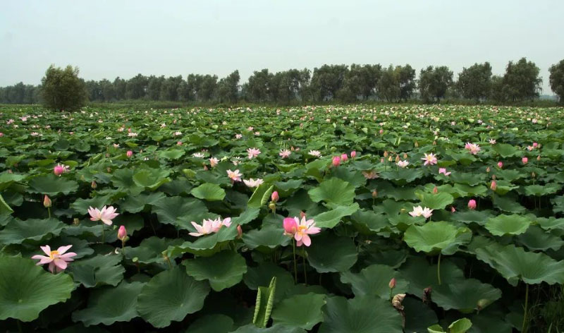 �ʶ�����(�й���) - �ٷ���վ