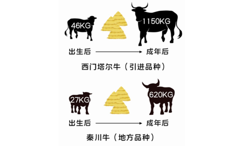 �ʶ�����(�й���) - �ٷ���վ