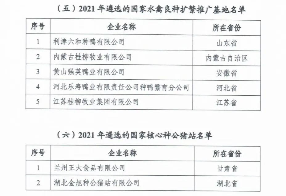 �ʶ�����(�й���) - �ٷ���վ