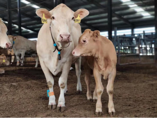 �ʶ�����(�й���) - �ٷ���վ