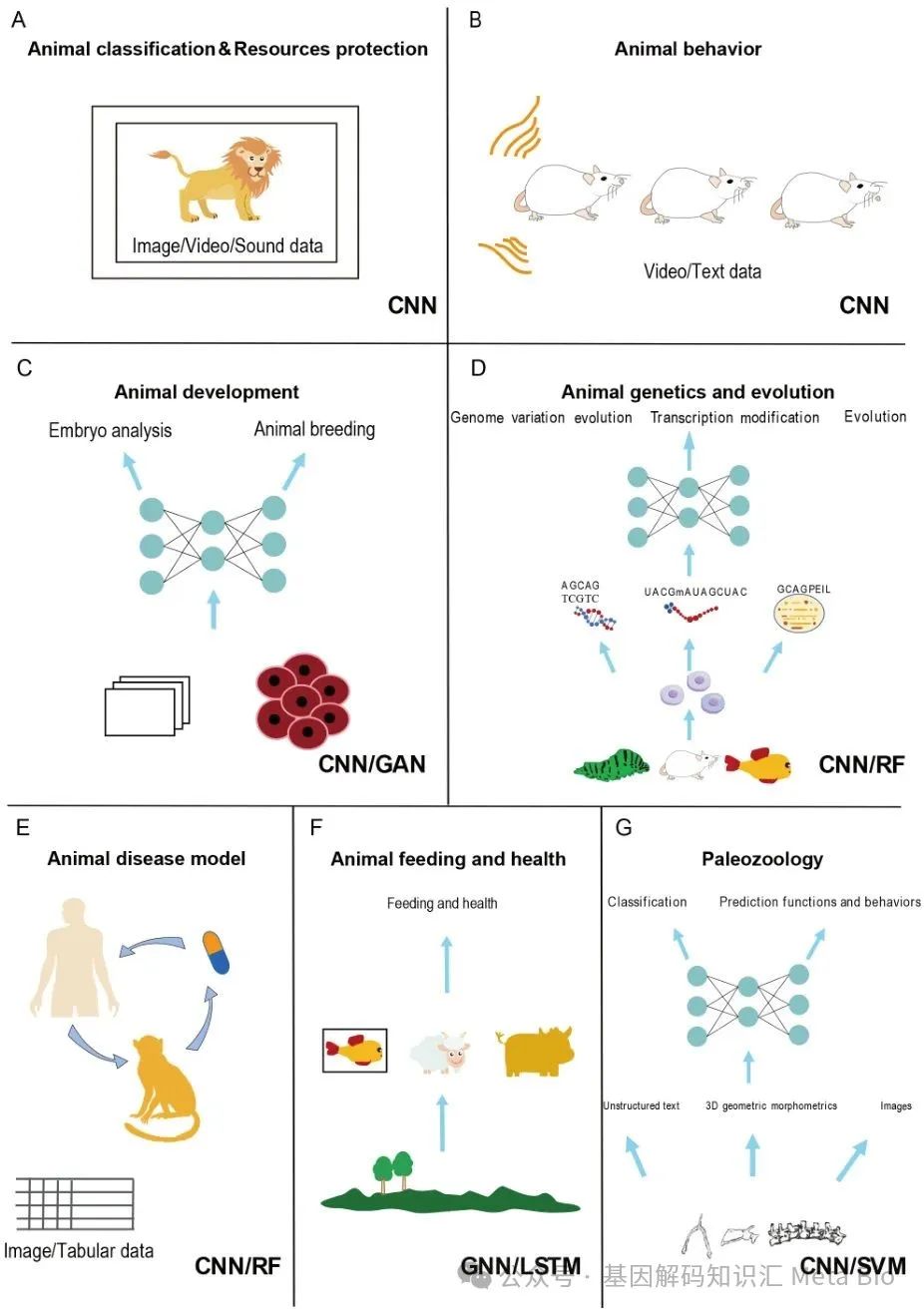 �ʶ�����(�й���) - �ٷ���վ