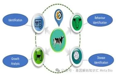 �ʶ�����(�й���) - �ٷ���վ