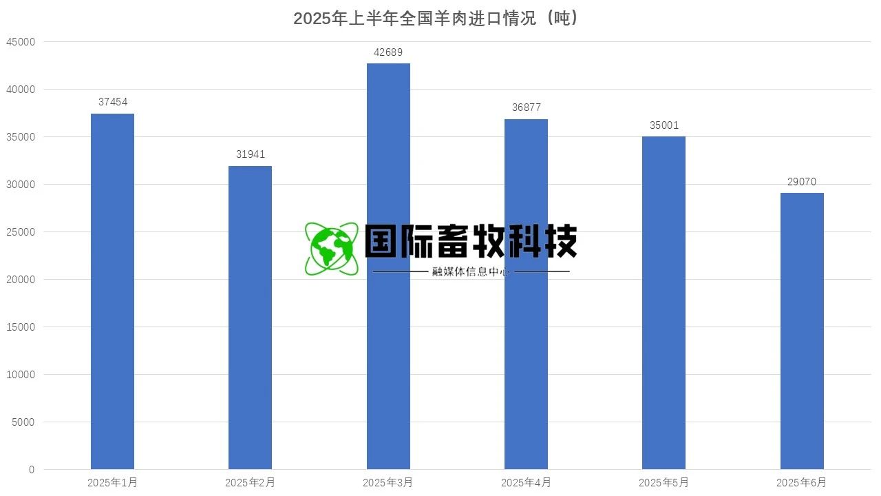 �ʶ�����(�й���) - �ٷ���վ